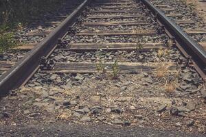 Rusty railway tracks weave through nature's reclamation in a tranquil rural setting photo