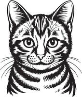 Black and White Cat Illustration - Hand-Drawn Line Art of a Tabby Cat Face vector