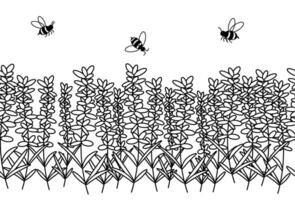 Black line lavender flower with bees horizontal seamless border. graphic line illustration. Cute provance Vintage retro sketch element for labels, packaging, textile and cards design. vector