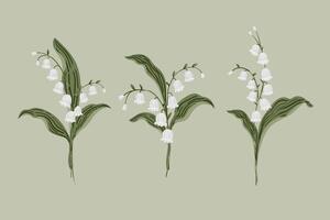 Lily Of the Valley Flower bouquets set. Hand painted botanical May Birth Month Flower collection vector