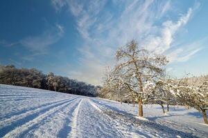Winter on hills on a cloudy bright frosty sunny day photo