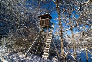 tower at edge of the winter forest photo