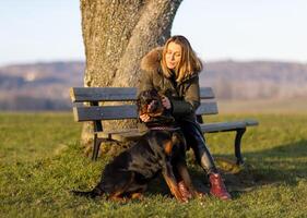woman sits on a bench and hugs a Rottweiler on a hill in the morning photo
