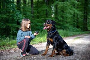 A girl plays with a ball-toy with her dog of the Rottweiler breed on a path in a forest photo
