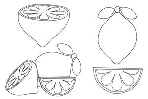 Contour Lemon set. Whole lemon, lemon slice, and cut lemon. Flat style illustration for any design vector