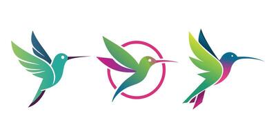 Stylized Hummingbird Illustration Colorful of a Flying Bird in Minimal Modern Style vector