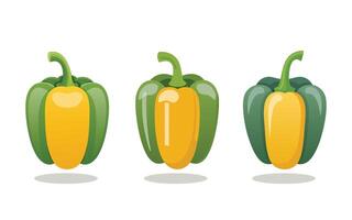 Multicolored bell peppers set of illustrations design vector