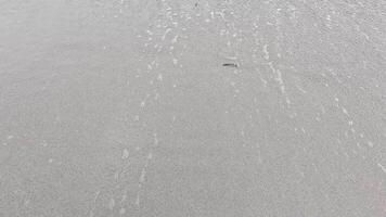 Waves softly approach the sandy shore video