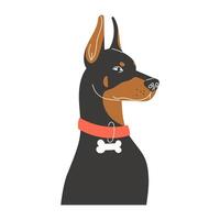 Doberman Dog Portrait Half Body Pet Illustration Flat Style vector