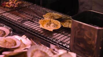 Scallops being grilled over charcoal flames video