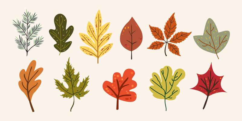 Abstract bright leaves of various shapes. Autumn season cartoon doodle elements collection. Botanic fall season hand drawn tree leaves set for seasonal design and holidays