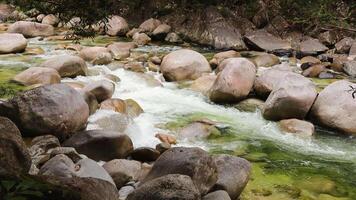 A serene river flows over rocks in a lush rainforest, showcasing natural beauty and tranquility video