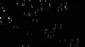 A dynamic display of bubbles in varying illumination video