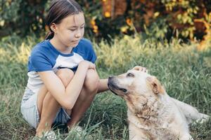 girl petting labrador gazing at her young child sitting on green grass backyard garden in summer warm light friendly dog with wet fur interaction in nature, pet care veterinary animal welfare photo