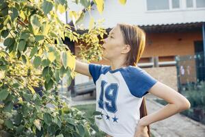 Asian Metis teen girl picking leaves from tree in backyard garden during sunny evening with curious expression near suburban house and green foliage, family lifestyle, gardening blog photo