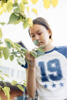 Asian teen girl picking leaves from tree in backyard garden during sunny evening with curious expression near suburban house and green foliage, family lifestyle, gardening blog, vertical photo