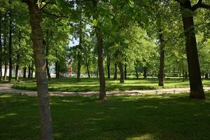 The Peaceful Green Park, with lush trees and winding paths, invites visitors to unwind photo