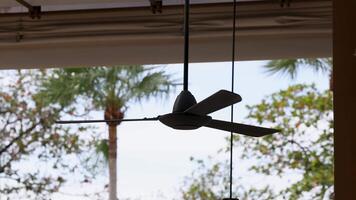 Ceiling fan spins slowly against a backdrop of palm trees and clear sky, captured in natural lighting video