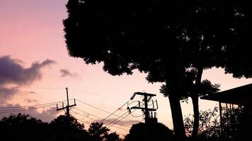 Silhouetted trees and power lines against a vibrant Phuket sunset. The sky transitions from pink to purple, creating a serene atmosphere video