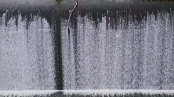 Water cascades over a dam in Tullebudgera, creating a mesmerizing, rhythmic pattern under natural lighting video