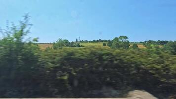 Scenic views of fields and greenery from train video