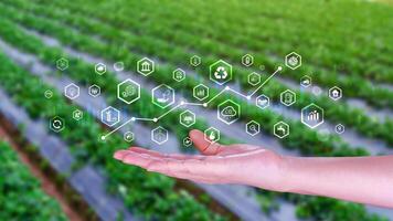 Environmental technology concept, Sustainable development goals, SDGs, Green technology, Sustainable society concept. Environmental technology. photo