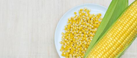 Bowl with corn seeds kernels and ripe sweet cobs on wooden table, harvest in agricultural cultivated corn field, organic corn photo