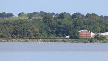 A serene riverbank with trees and buildings video