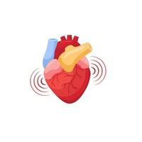 Heart vibrating signaling medical alert with anatomical precision vector
