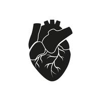 Black anatomical heart silhouette with white arteries in simple design vector