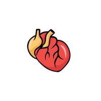 Heart illustration showing anatomical design with bold colors and smooth outlined details vector