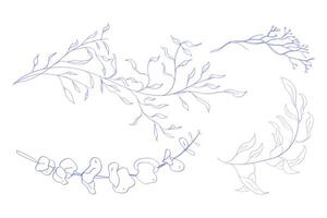 Floral branch monogram with elegant leaves Botanical rustic trendy greenery vector