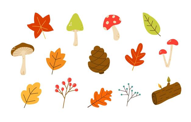 Autumn elements set, leaves , mushrooms
