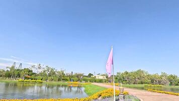 Pink flag waving beside lake in lush Bangkok park setting video