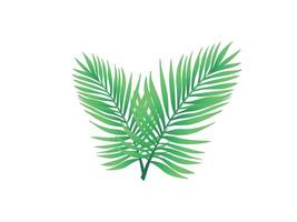 Tropical leaves palm leaves silhouettes isolated on white background, Palm leaves floating in the air isolated, Illustration, Palm leaves The green leaves. vector