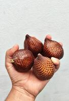 Fresh Yogyakarta Salak Indonesian Snake Fruit photo