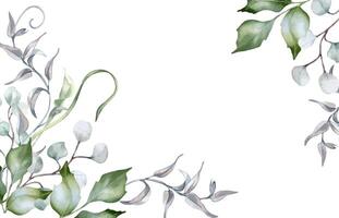 Watercolor greenery illustration vector