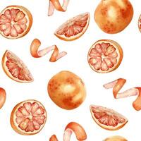 Pattern of orange slices and peels vector
