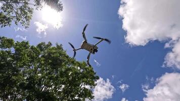 A drone rises through a clear sky, framed by trees and sunlight, capturing dynamic aerial movement video