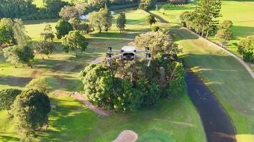 Aerial animation of a lush golf course with vibrant greenery and winding paths under bright sunlight video