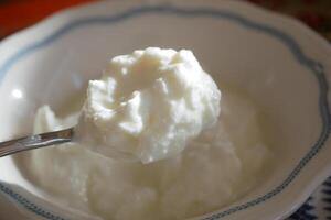 Creamy yogurt served in a decorative bowl photo