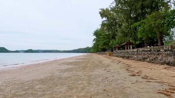 Tranquil sandy beach with lush greenery in Krabi. video