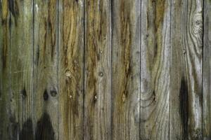 There are knots and dark streaks on the surface. photo