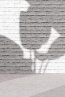 Product placement background with plant shadow photo