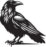 Majestic Black Raven Perched on White Background Symbol of Mystery and Intelligence vector