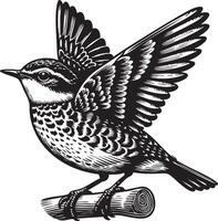 Detailed Line Art Illustration of a Bird Perched on a Twig with Wings Spread vector