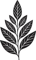 Elegant Black Branch With Many Leaves Silhouette Illustration Graphic Design Element vector