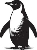 Charming Penguin Illustration with Detailed Feathers and Whimsical Style vector