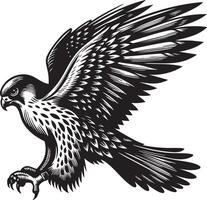 Majestic Falcon in Flight Artistic Black and White Illustration vector