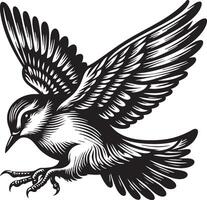 Detailed Illustration of a Small Bird in Mid Flight with Wings Spread Wide vector